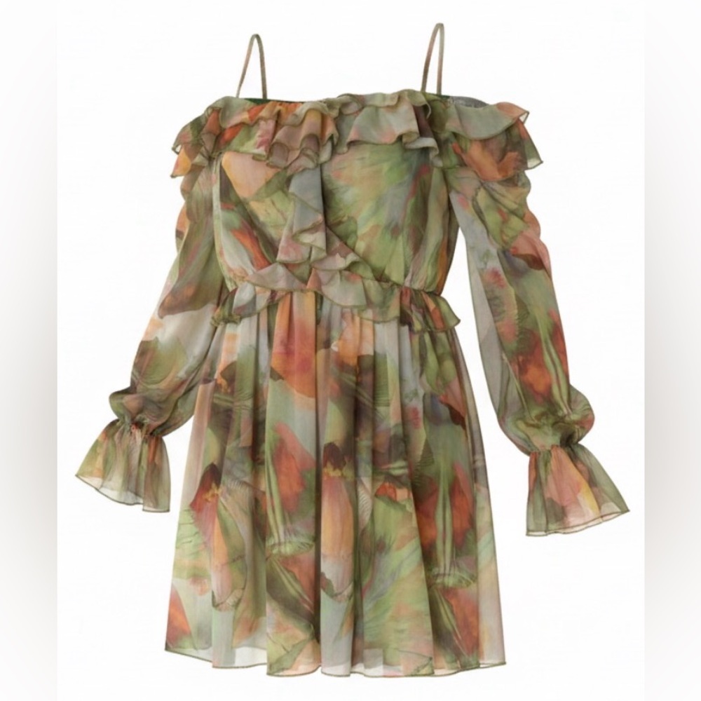 Zara Printed Ruffled Tulle Midi Dress
